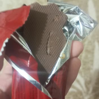 Eti Canga Kurt Çıktı