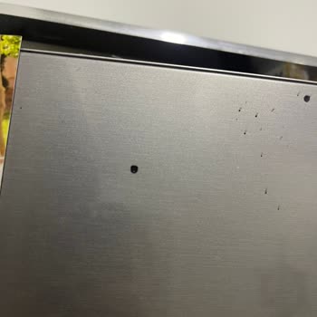 Samsung Buzdolabı Siyah Noktalar