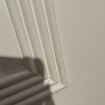 Gürbüz Mobilya Alan Bin Pişman Olur!