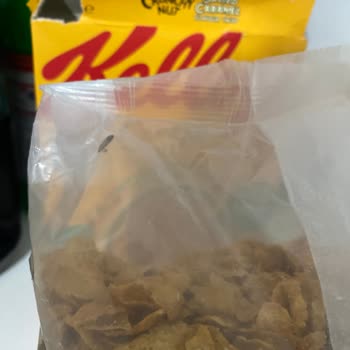 Kellogg's Corn Flakes İçinde Güve Kurt Var