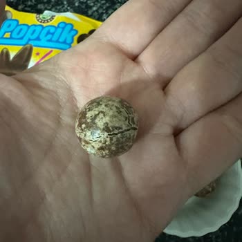 Kahve Dünyası Bayat Çikolata Şikayeti