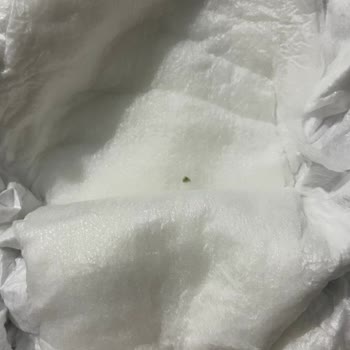 Sleepy İçinden Çıkan Şey!