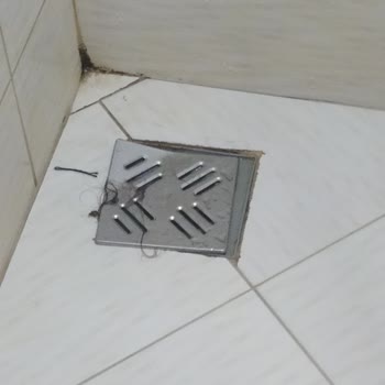 Hacettepe Üniversitesi Yurtlarındaki Temizlik Sorunu