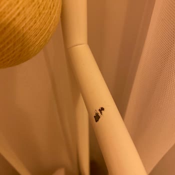 IKEA Dan Aldığım Karyolada Boya Sorunu