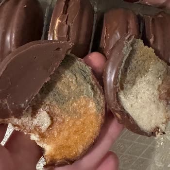 BİM Lento Çikolata Kaplı Sandviç Kekin İçi Küflü Çıktı!