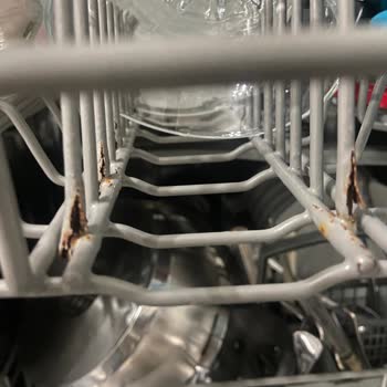 Teka DW 605S VR01 Dishwasher: Widespread Rust Issue