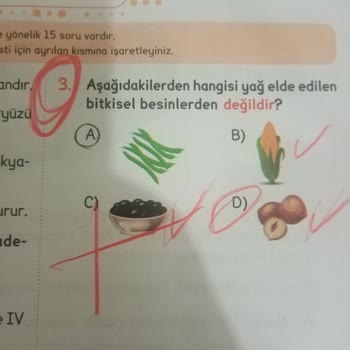 Kaliteli Eğitim Yayınları KEY Yayınları Soru Cevap Video Uyuşmazlığı