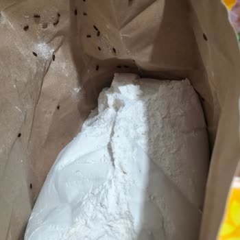 Katmer Un Unun İçin Böcek Çıktı