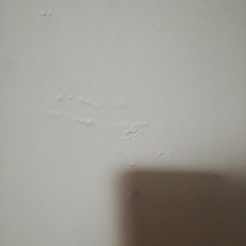 Anadolu Sigorta Exspertiz Hatası Yanlış Bilgi Vermesi!