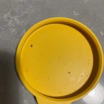 Paşabahçe Silikon Kapak Küflenmesi