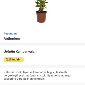 Migros Görselle İlgisi Olmayan Çiçek Gönderildi