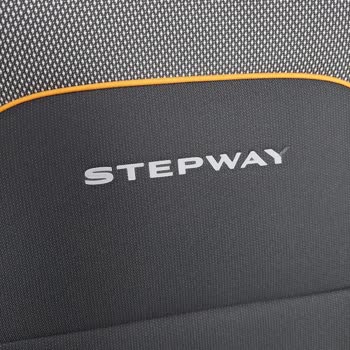 Dacia Koltuk Stepway Yazısı Kalkması