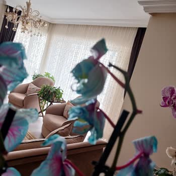 ÇiçekSepeti Çiçek İade İnceleme