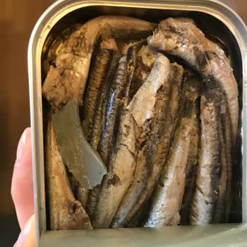 Dardanel Hamsinin İçinden Çıkan Plastik