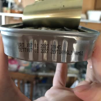 Dardanel Hamsinin İçinden Çıkan Plastik