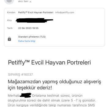 Petiffy Siparişleri Hakkında Sorun Çözebilecek Personel Aranıyor
