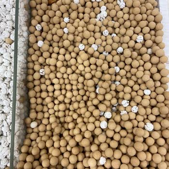 Hijyen Yoksunu Kuruyemiş Dükkanı Makbul Yıldırım Mahallesi