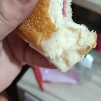 Dardanel Sandiviç Kıl Çıktı