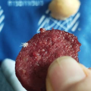 Beşler Sucukta Kıl Demeti Çıktı