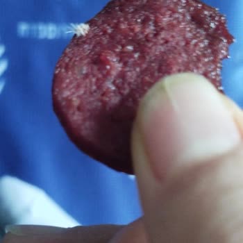 Beşler Sucukta Kıl Demeti Çıktı