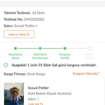 Trendyol Siparişin Teslim Edilmemesi