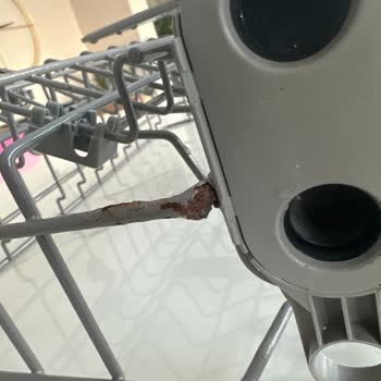 Silverline Bulaşık Makinesi Sepetinin Küflenmesi