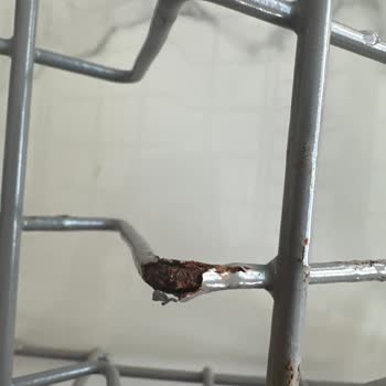 Silverline Bulaşık Makinesi Sepetinin Küflenmesi