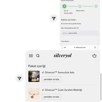 Silveryol.com Ürünüm Gelmedi Ve Markayla İletişim Sağlayamıyorum