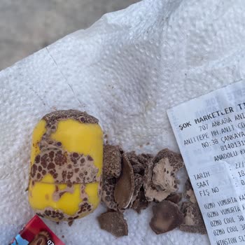 Ozmo Bozuk Yumurta Üretmiş