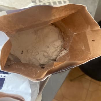 Sinangil Un Böceklendi