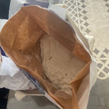 Sinangil Un Böceklendi