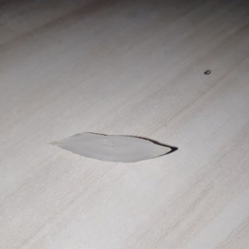 Migros Pizza İçinde Plastik Madde