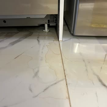 Su Baskını, Arçelik Su Arıtıcı Servis Hatası