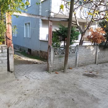 Türk Telekom Telefon Direğini Yan Tarafa Almıyor