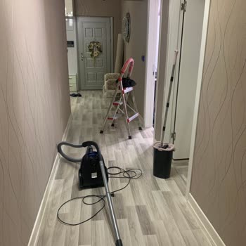 Pestvet Temizlik Üslup Bozukluğu Ve İlgisizlik