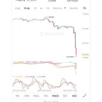 Loss Due to Cancelled Sales and Idle Help Desk on Binance