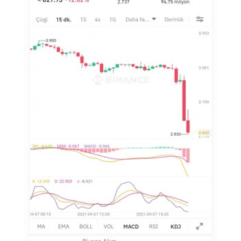 Loss Due to Cancelled Sales and Idle Help Desk on Binance