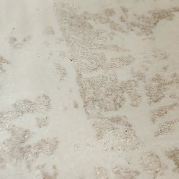 Altaş Halı Yıkama Halılar Kirli Geldi