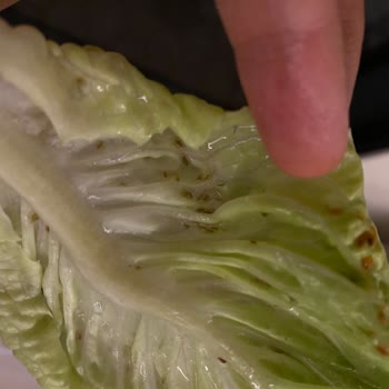 Groseri Gıda Adana Pınar Şubesi Böcekli Ürün