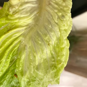 Groseri Gıda Adana Pınar Şubesi Böcekli Ürün