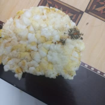 Eti Gong Sincan Altunbilekler Trendyol Market