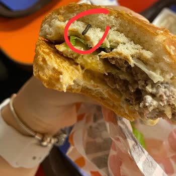 Burger King Marulun İçinden Kurt Çıktı