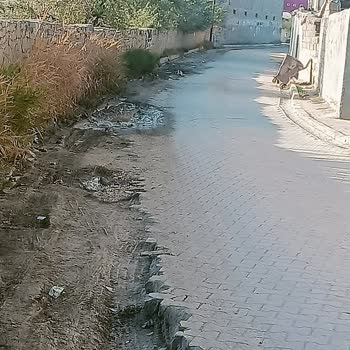 Van Büyükşehir Belediyesi Çevre Düzeni Bozuk