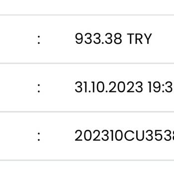 Biletalsat.com Bilet Satın Aldım Fakat Biletimi Aktarmadı.