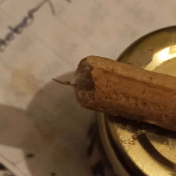 A101 Yabancı Cismin Çıktığı Kepekli Grissini