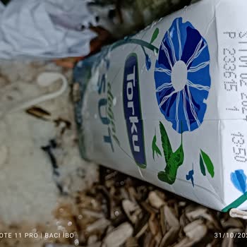 BİM Marketinden Aldığımız Torku Süt Bozuk Çıktı