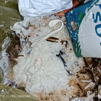 BİM Marketinden Aldığımız Torku Süt Bozuk Çıktı