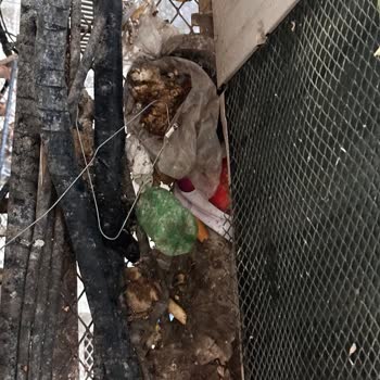 Selamet Turizm Pişmanlığı