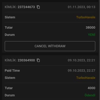 Pashagaming Kazancımı Çekmek İsterken Sorun Yaşadım
