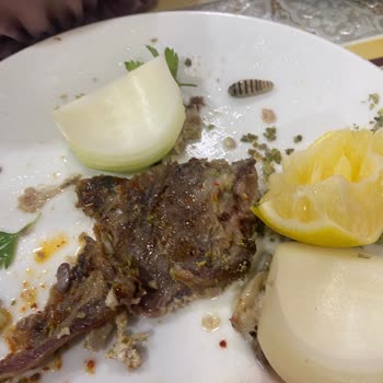 Z&R İşkembe Yemekten Çıkan Kurt